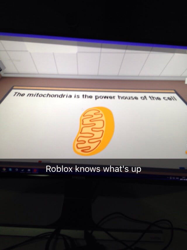 Roblox Smart 9gag - roblox smart