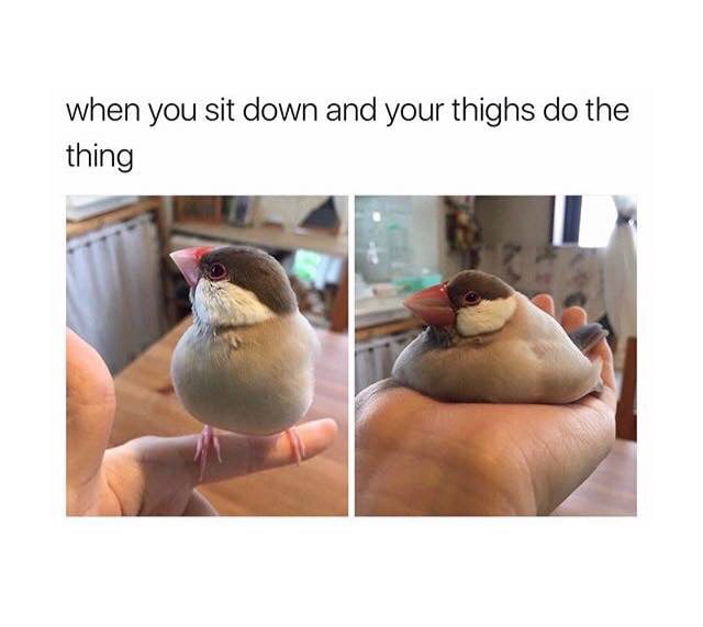 Do Guys Really Like Big Thighs Because I m Super Insecure About Mine do-guys-really-like-big-thighs-because-i-m-super-insecure-about-mine