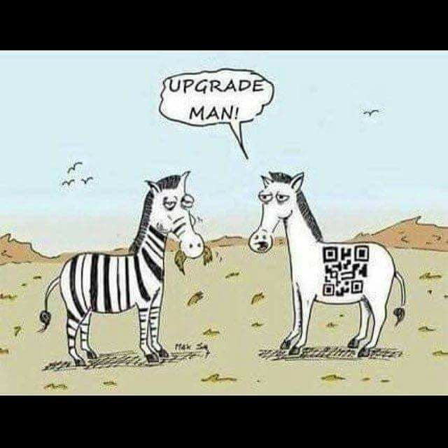 upgrade-zebra-9gag