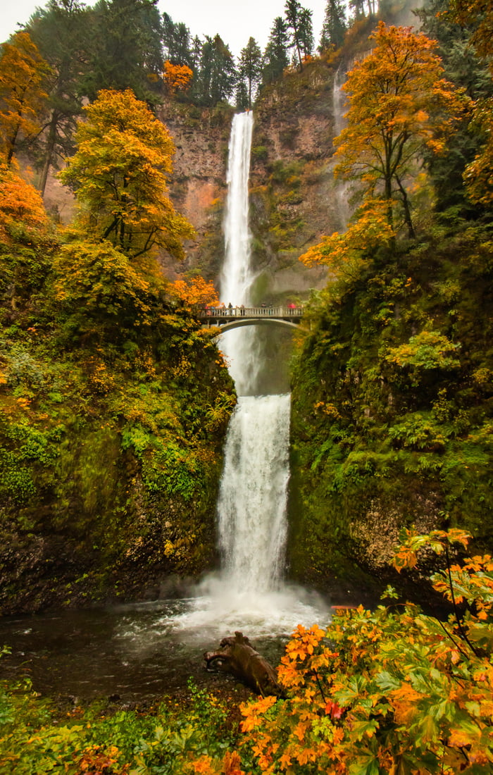 The Columbia River Gorge in Oregon is amazing. After 8 different ...