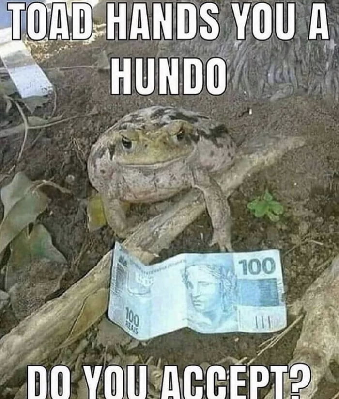 The toad will remember that... - 9GAG