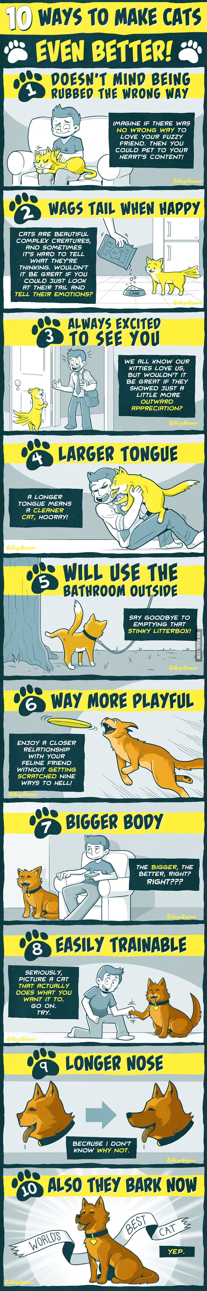10 Ways to Make Cats Better Than They Already Are. - 9GAG