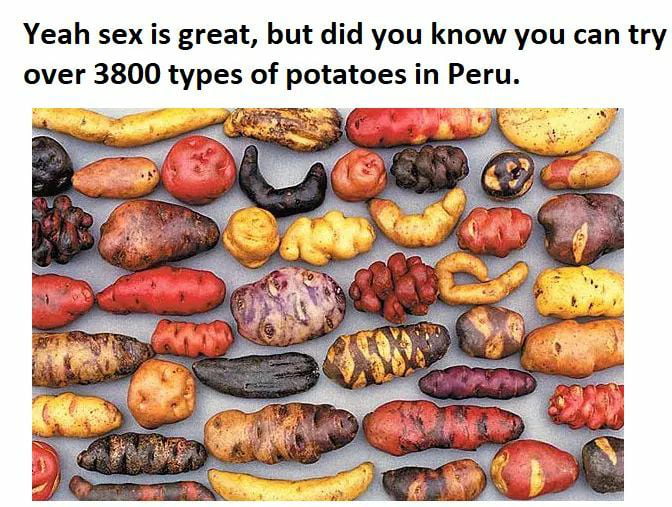 Sexy Potatoes 9gag