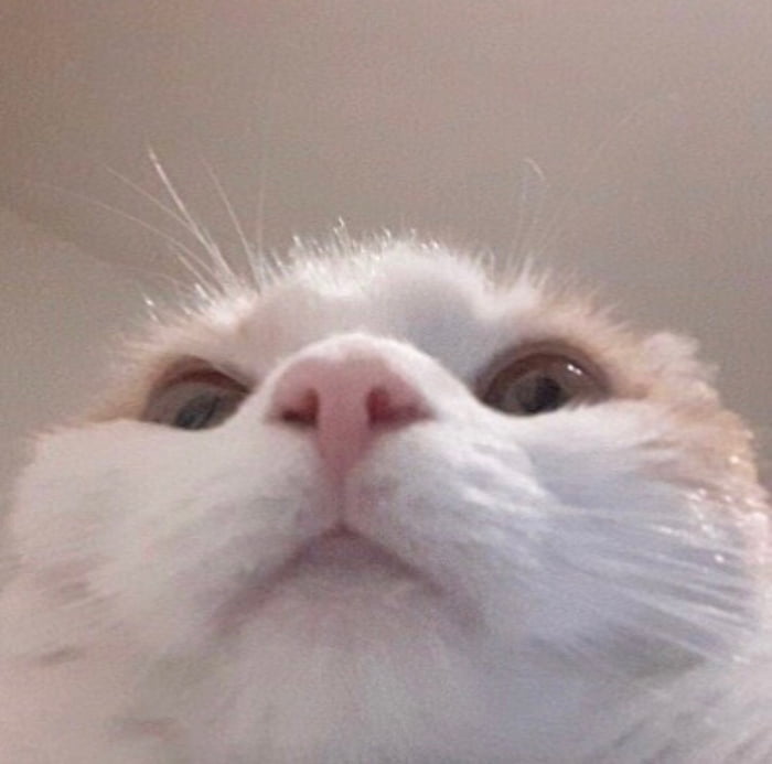 When you accidentally open the front camera - 9GAG