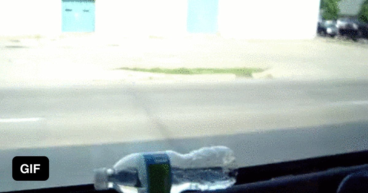 Just another day in the street - 9GAG