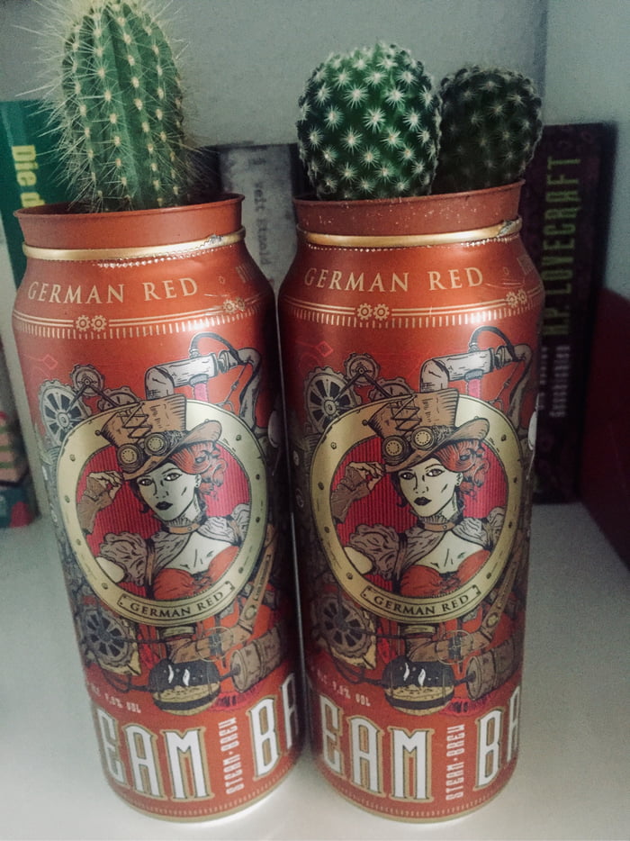 Cool way to not throw away awesome beer cans 9GAG