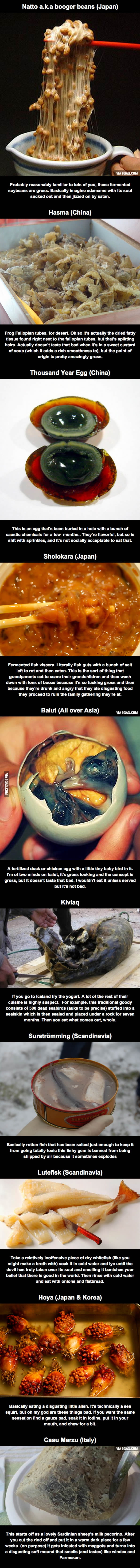 The Ten Most Grossest Foods Ever