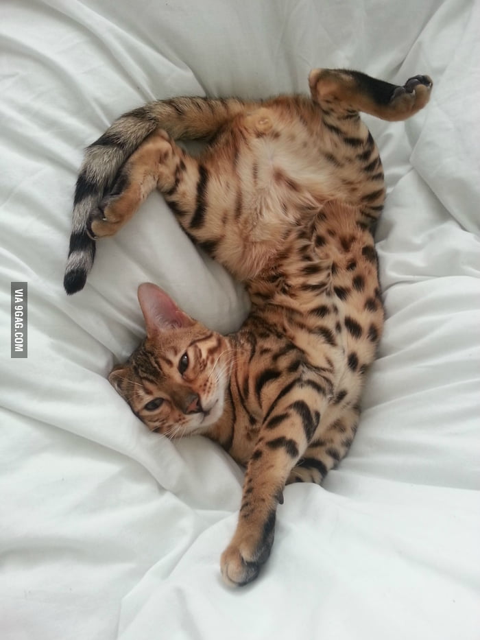 I feel like he does 'Lazy Sundays' way better than me. - 9GAG