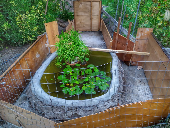 Goldfish Swimming Pool Extension Update After Casting The Concrete Base In The Next Few Days I Will Throw The Retaining Wall To Contain The Water That Will Cover The Existing Pool For