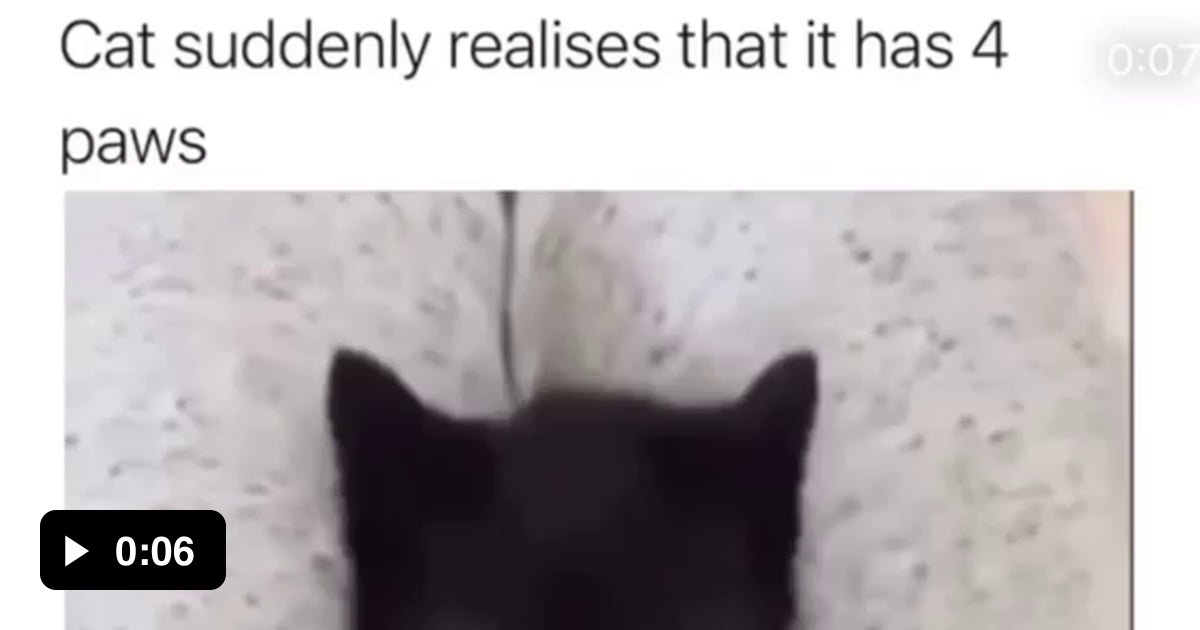 Cat realising it has 4 paws - 9GAG