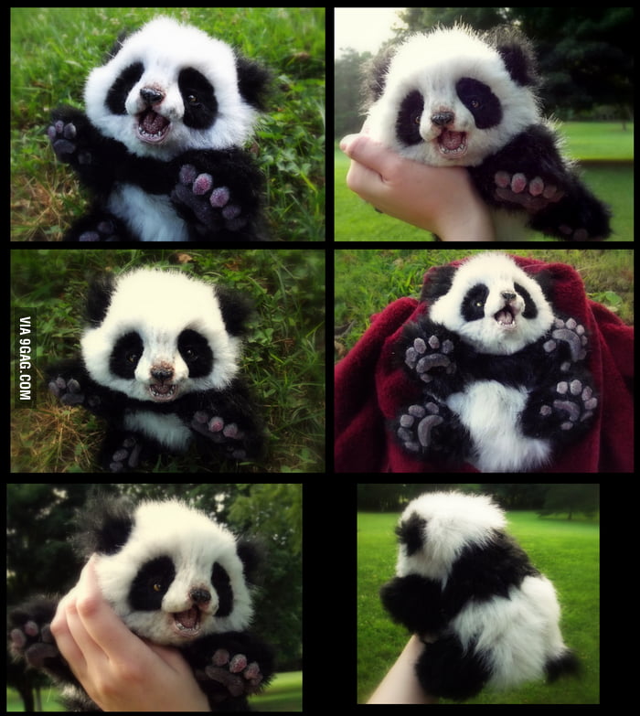 king cuddly panda