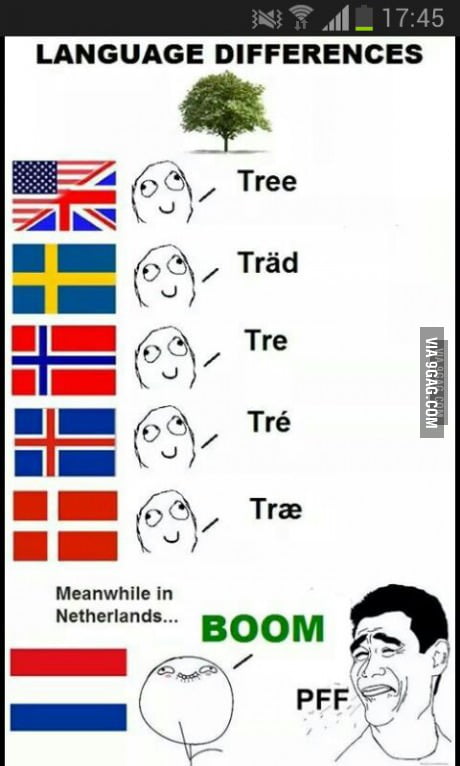 How To Say Fir Tree In Different Languages