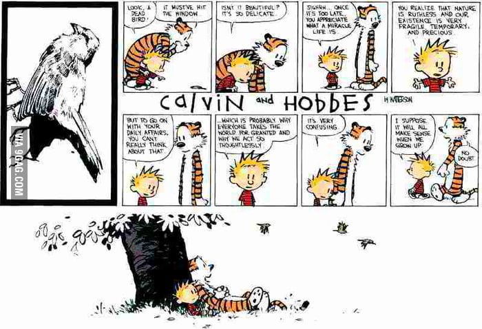 Calvin And Hobbes 9gag