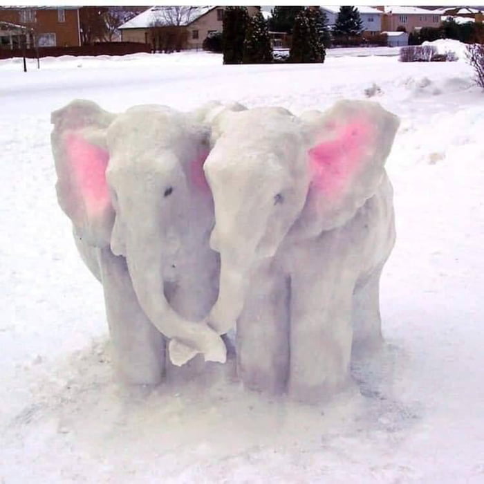 Snow Elephants 9gag