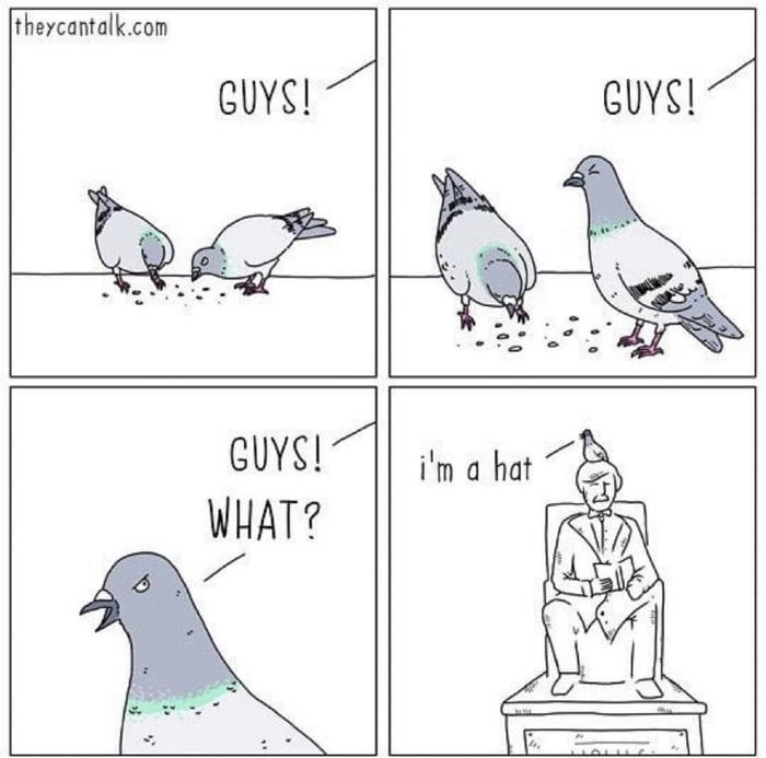 Pigeon talk 9GAG