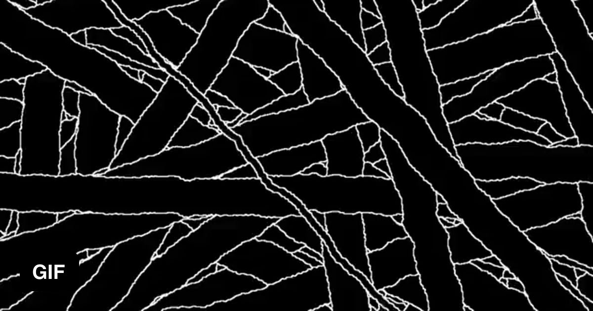 Straws pulled at random 9GAG