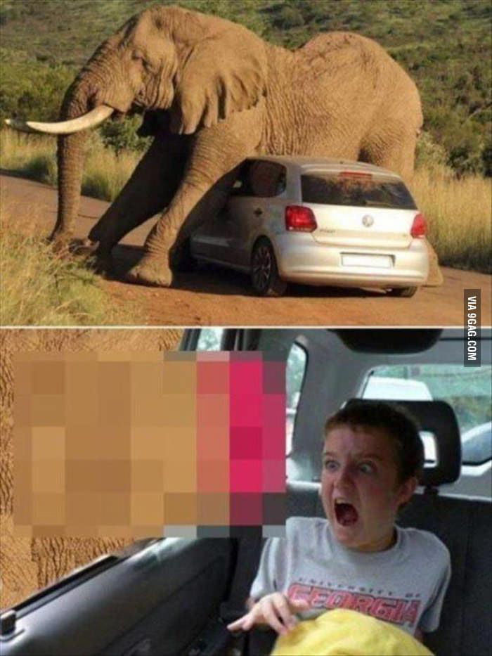 Mentally Scarred For Life 9GAG