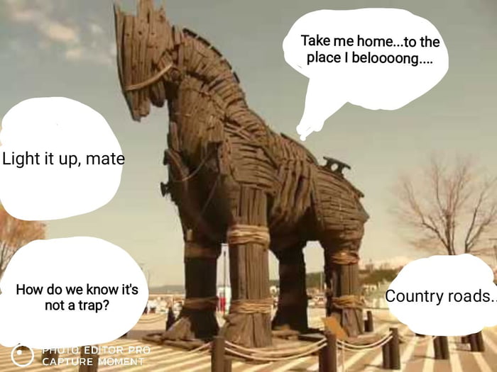 is the trojan horse story true
