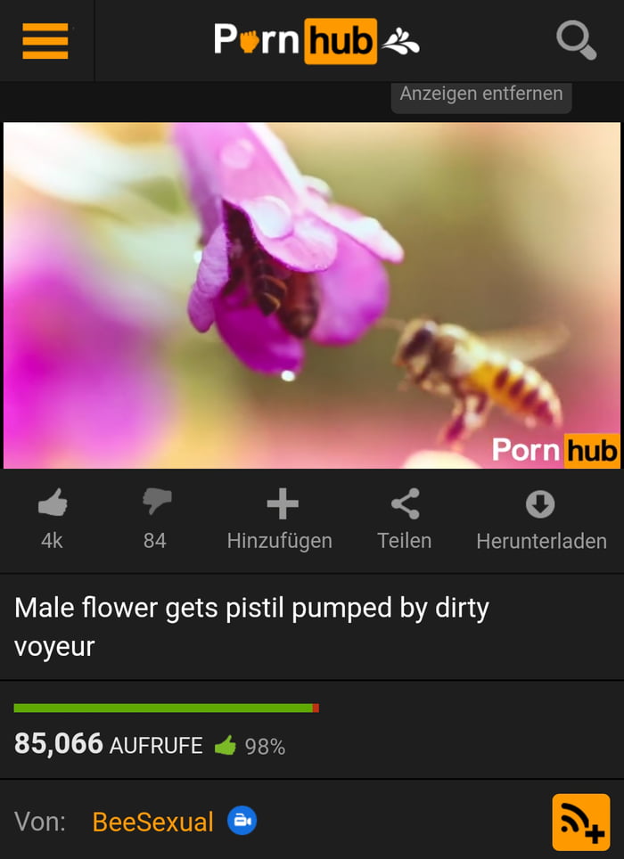 Flower And Bee Porn - Bee Porn - 9GAG