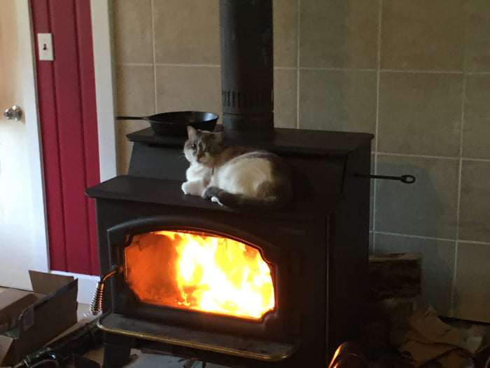 Food is scarce in these dark times. 9GAG