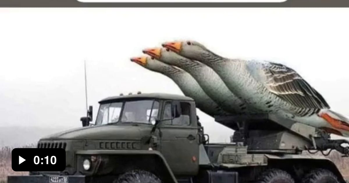 War geese UKRAINE - 9GAG