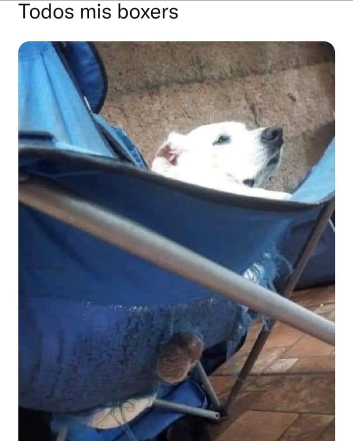 No no no no... Bueno si 9GAG