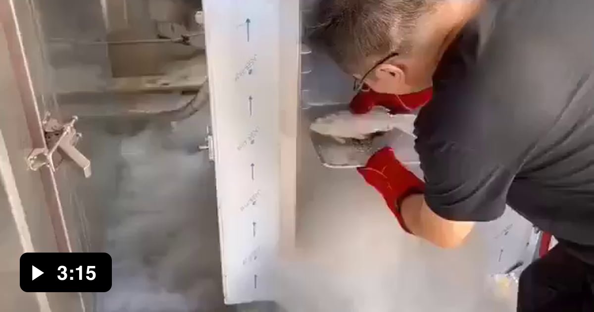 Bringing a frozen fish back to life! At this point afraid to ask. 9GAG