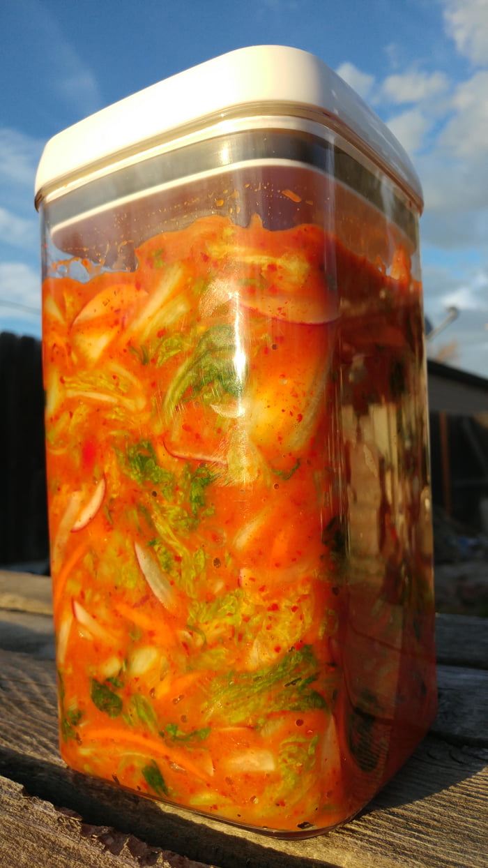 Homemade Kimchi 9gag