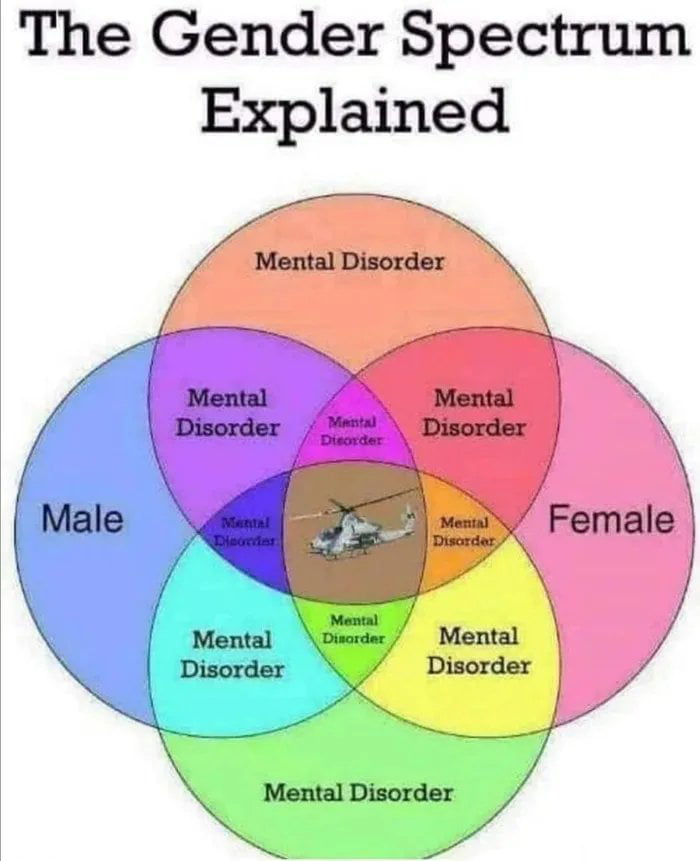 the-most-accurate-gender-spectrum-chart-9gag