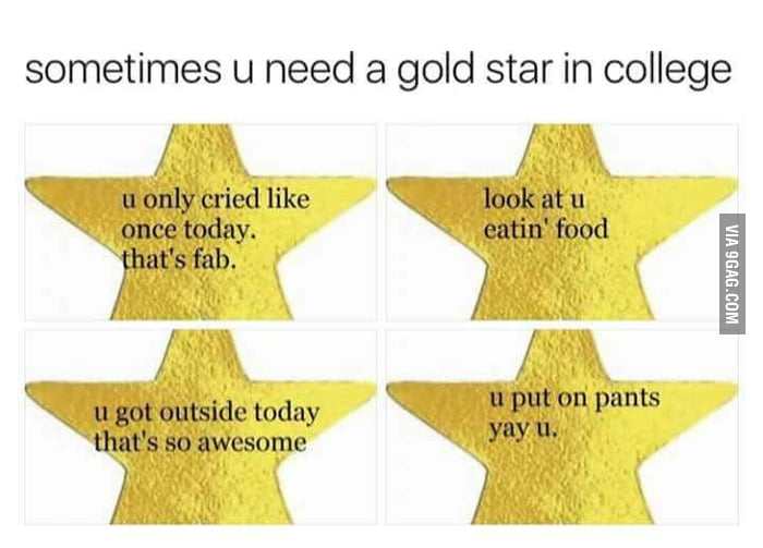 gold star meme