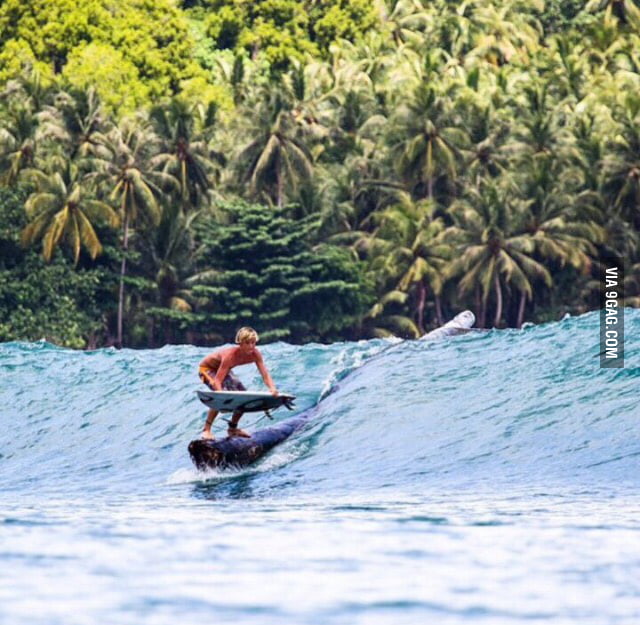Log surfing 9GAG