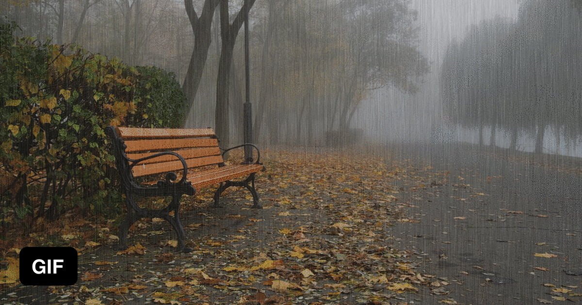 Yeah Raining It's raining! Yay! - 9GAG
