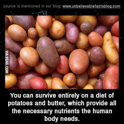 Potato Love 9gag