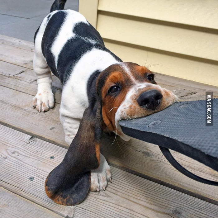 A face full of flip flop 9GAG