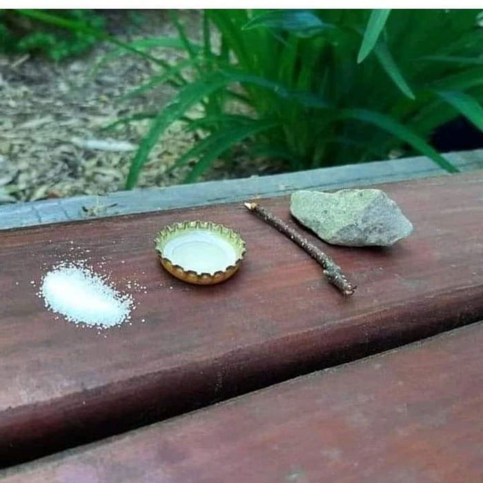 Mexican fly trap,salt, tequila, small branch and a rock The fly lands