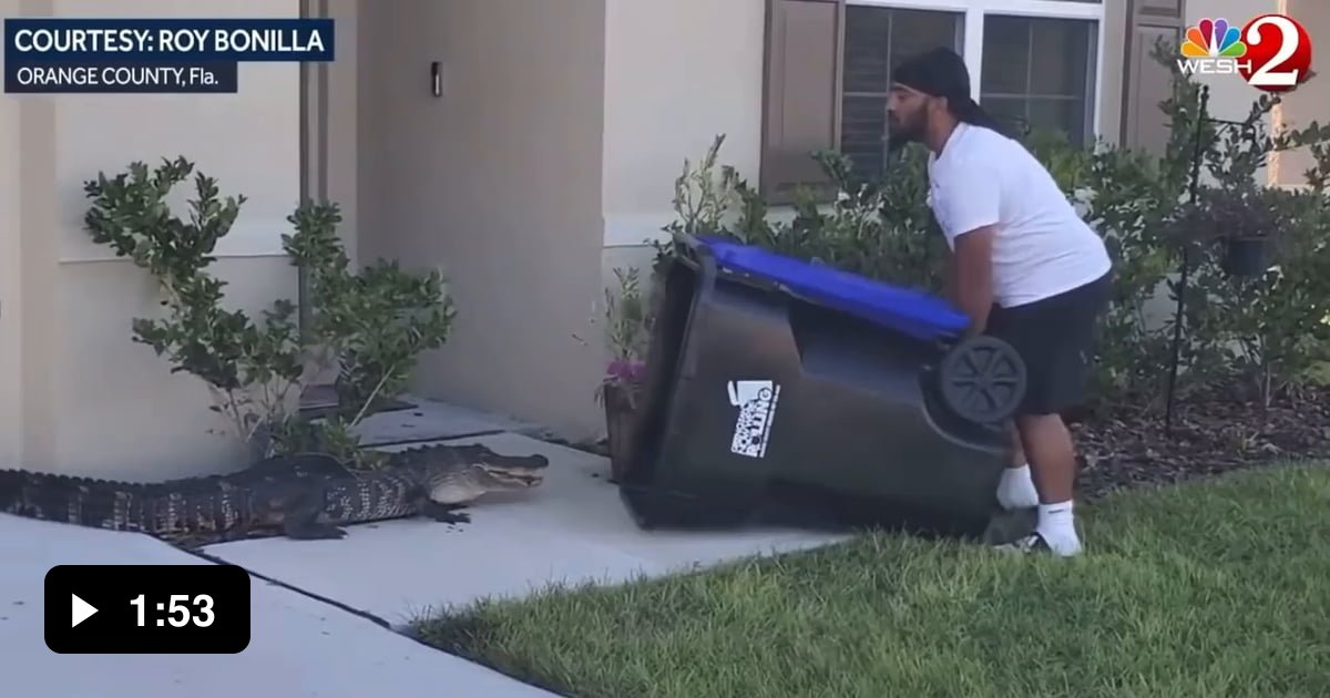 Florida man catches alligator with trashcan and relocated it to swamp