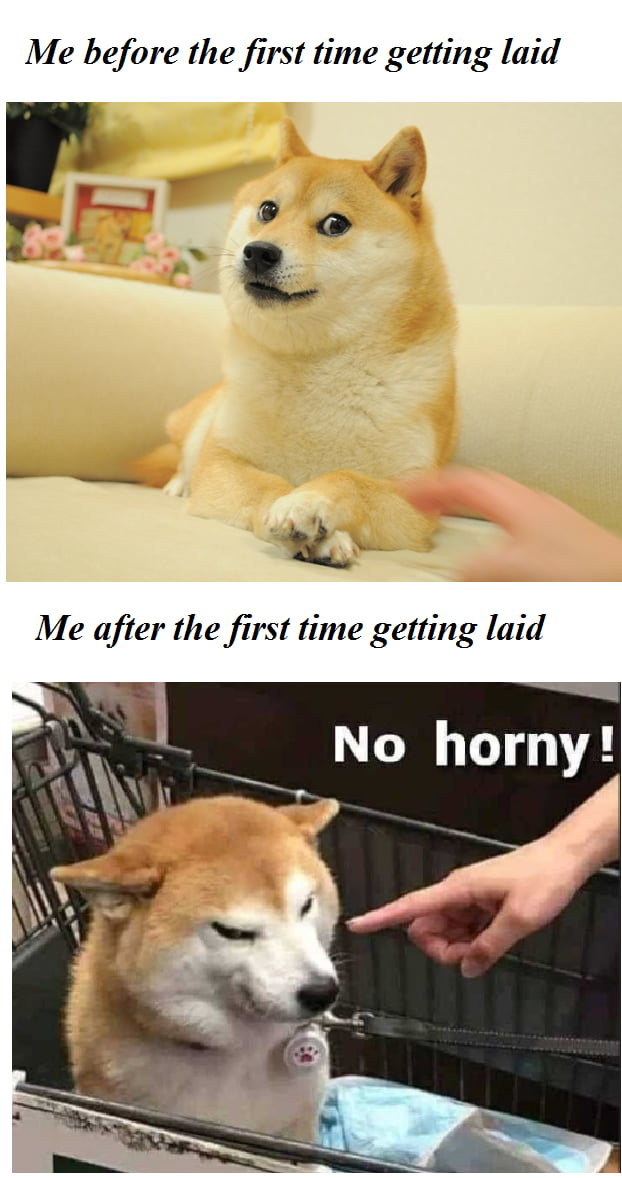 Horny? - All the time! - 9GAG