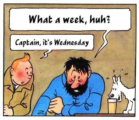 It's Wednesday captain... - 9GAG