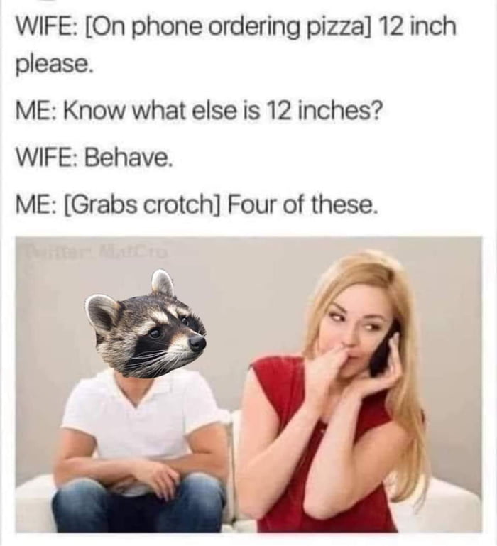 All hail Raccoon! - 9GAG