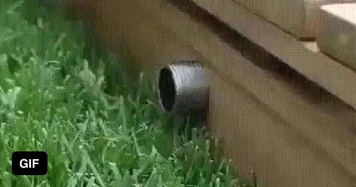 An upsidedown shower activated by a person's weight 9GAG