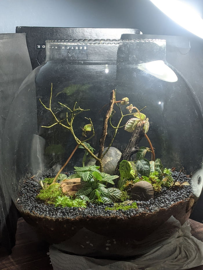 New terrarium for a client - 9GAG