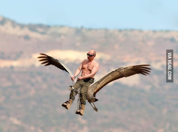 Putin Riding Goose Putin riding a goose. Your argument is invalid. - 9GAG