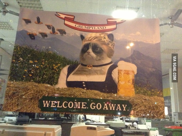 in Vienna, Austria is advertising with Gruppe cat.. 9GAG