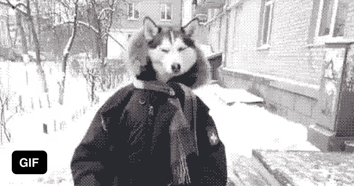 When my roommate's cat likes me more than her. 9GAG