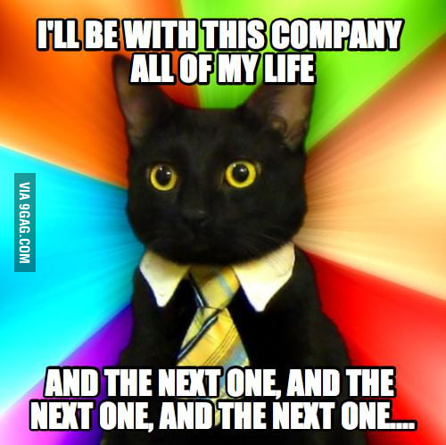 Business Cat is a dedicated employee. - 9GAG