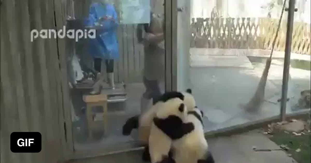 Cracks me up every time - 9GAG