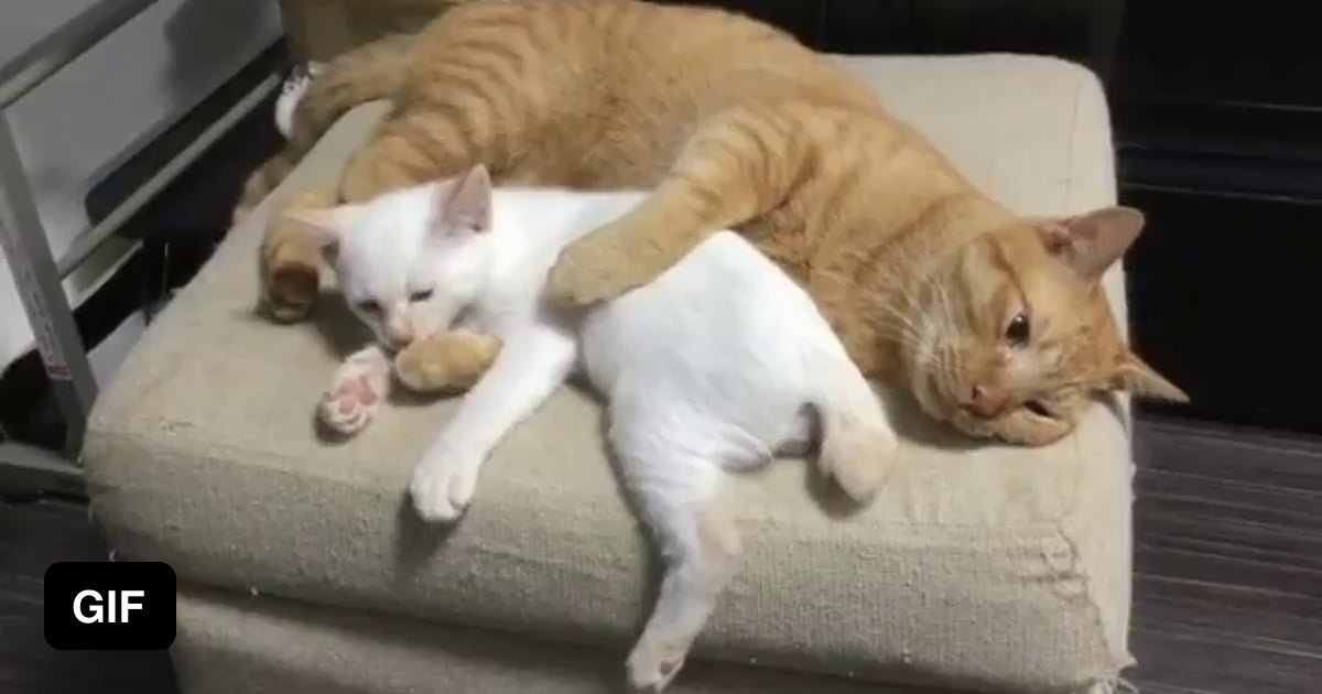 I ve had enough of you. Billie bust up. Billie bust up fantoccio. В филадельфии всегда солнечно мем с доской. Enough мем.