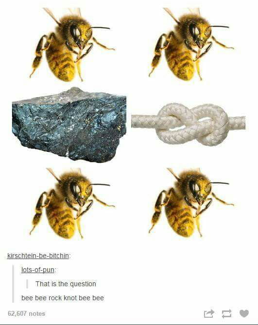 Bee Bee Rock Knot Bee Bee 9GAG