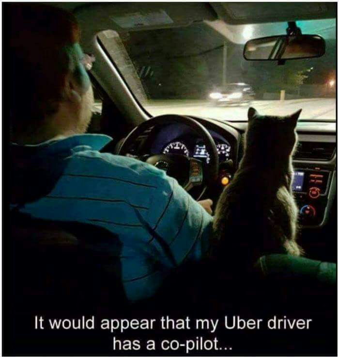 I would like all uber drivers to have this. - 9GAG