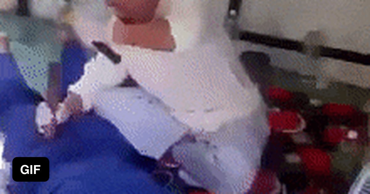 Back pain treatment using a hammer 9GAG